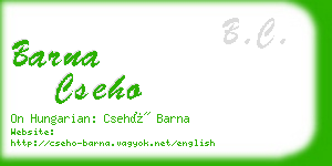 barna cseho business card